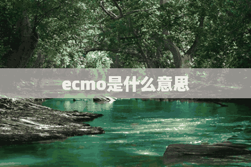 ecmo是什么意思